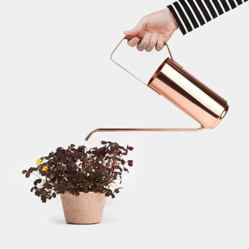 慢生活美学 优雅迷人的园艺工具设计与美术图案服务